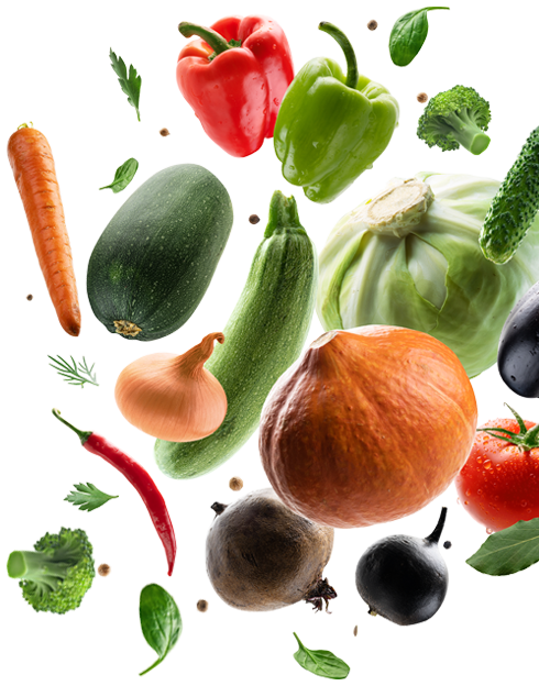 Fasting Salads