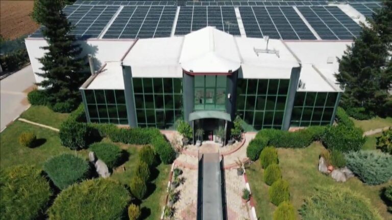 Read more about the article THINK GREEN – 50 χρόνια υπευθυνότητας