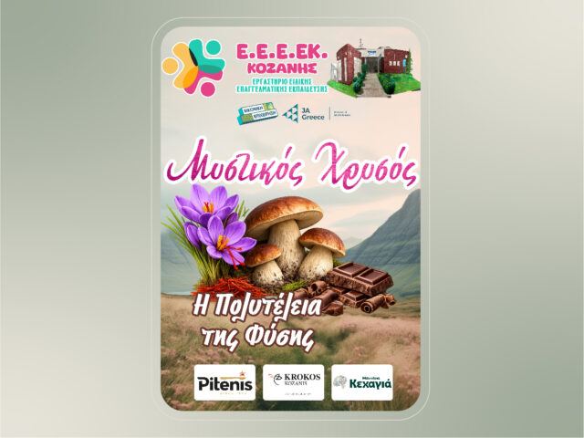 Στήριξη της μαθητικής καινοτομίας από την Pitenis