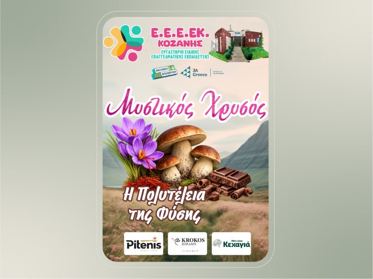 Read more about the article Στήριξη της μαθητικής καινοτομίας από την Pitenis